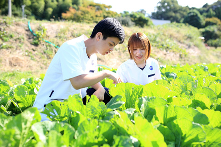 大阪河崎リハビリテーション大学 広大なイネーブルガーデンで学べる「園芸療法」。指定された科目を修得することで資格が取得できます