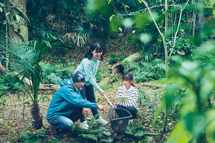 神戸女学院大学 野外や施設でのフィールドワークも行い、環境や生物多様性の保全を探ります。自然豊かな岡田山キャンパスも学びのフィールド。