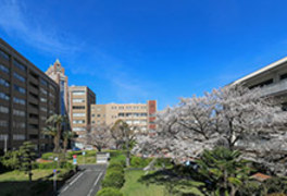 東筑紫短期大学